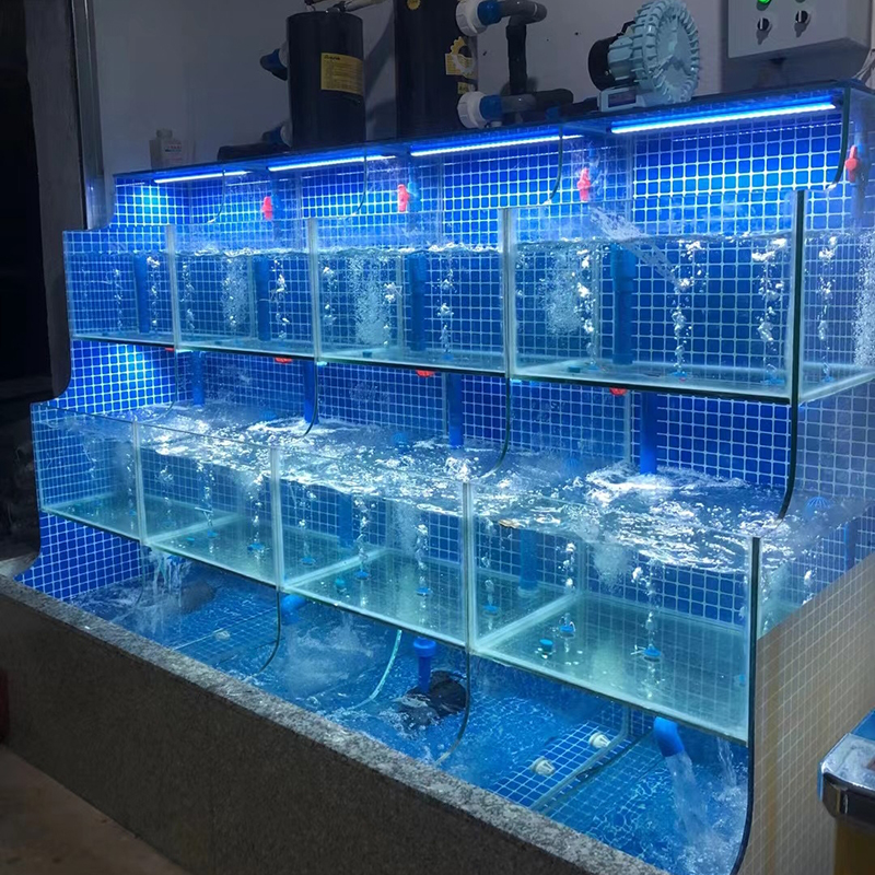 Customized stepped seafood tanks for the fresh produce section of large seafood markets/supermarkets