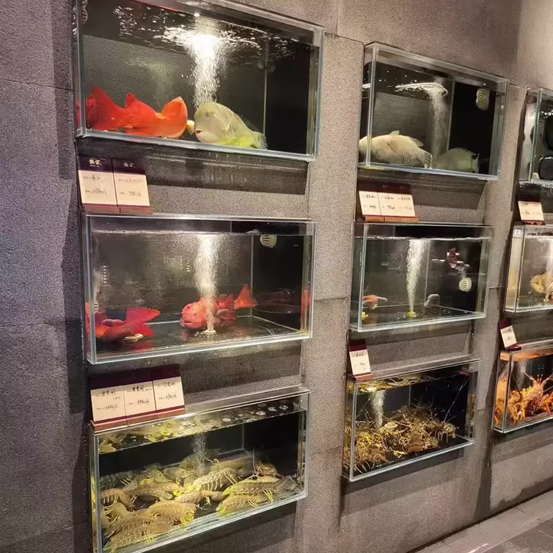 Wall-mounted live fish and shrimp temporary storage tanks for the restaurant's open stalls, layered seafood display tanks, and processing