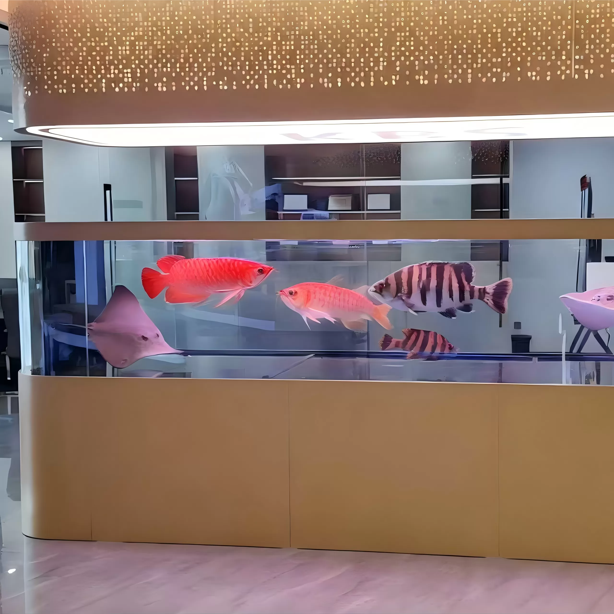 Customized large arc-shaped irregular-shaped ornamental fish tanks with golden arcs at both ends