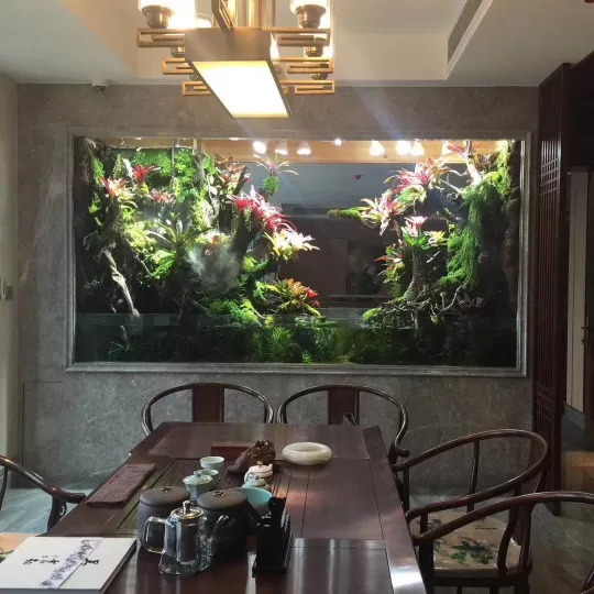 Customized embedded wall rain-soaked ecological landscape fish tanks