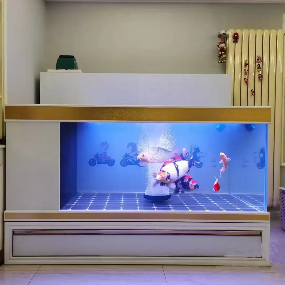 Custom-made household koi and Lanshou ornamental fish tank with white gold edge drawer base cabinet