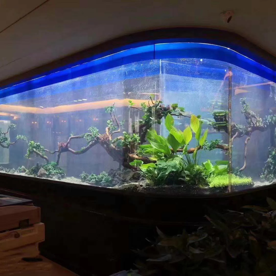 顶边弧形底柜异形淡水造景鱼缸定制