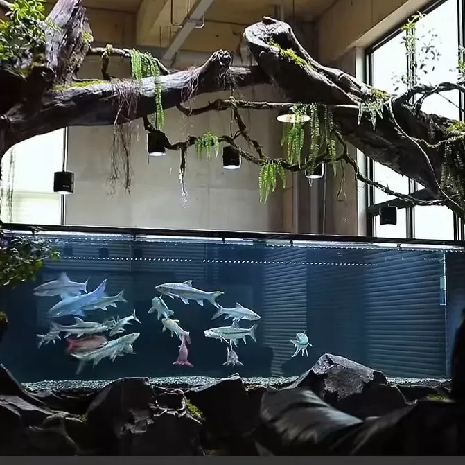 Customized large floor-standing group ornamental fish tanks with original driftwood landscaping